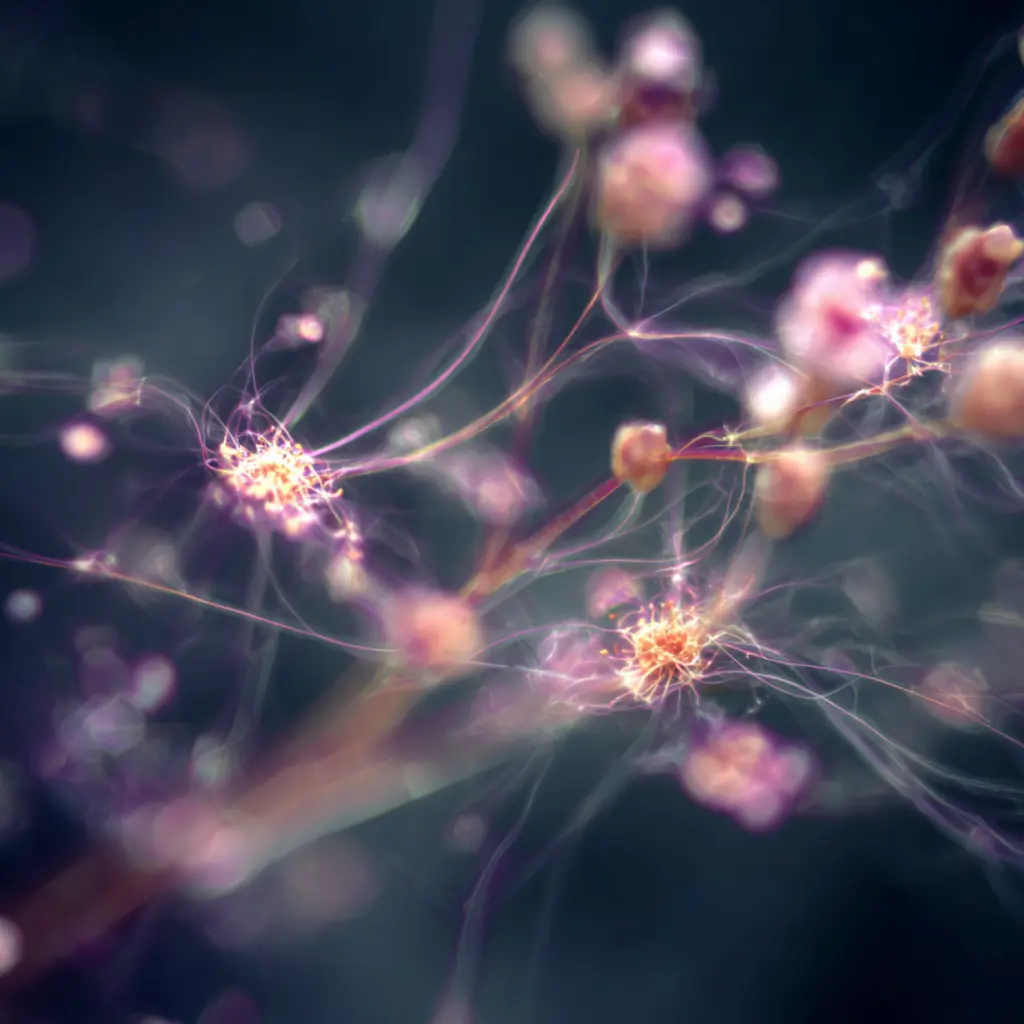 Abstract neural network visualization representing AI Content Strategy, showing interconnected nodes that symbolize semantic SEO, AI writing systems, and data-driven content optimization used to improve search visibility.